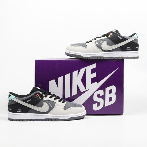 Nike Dunk Low SB 'Camcorder'