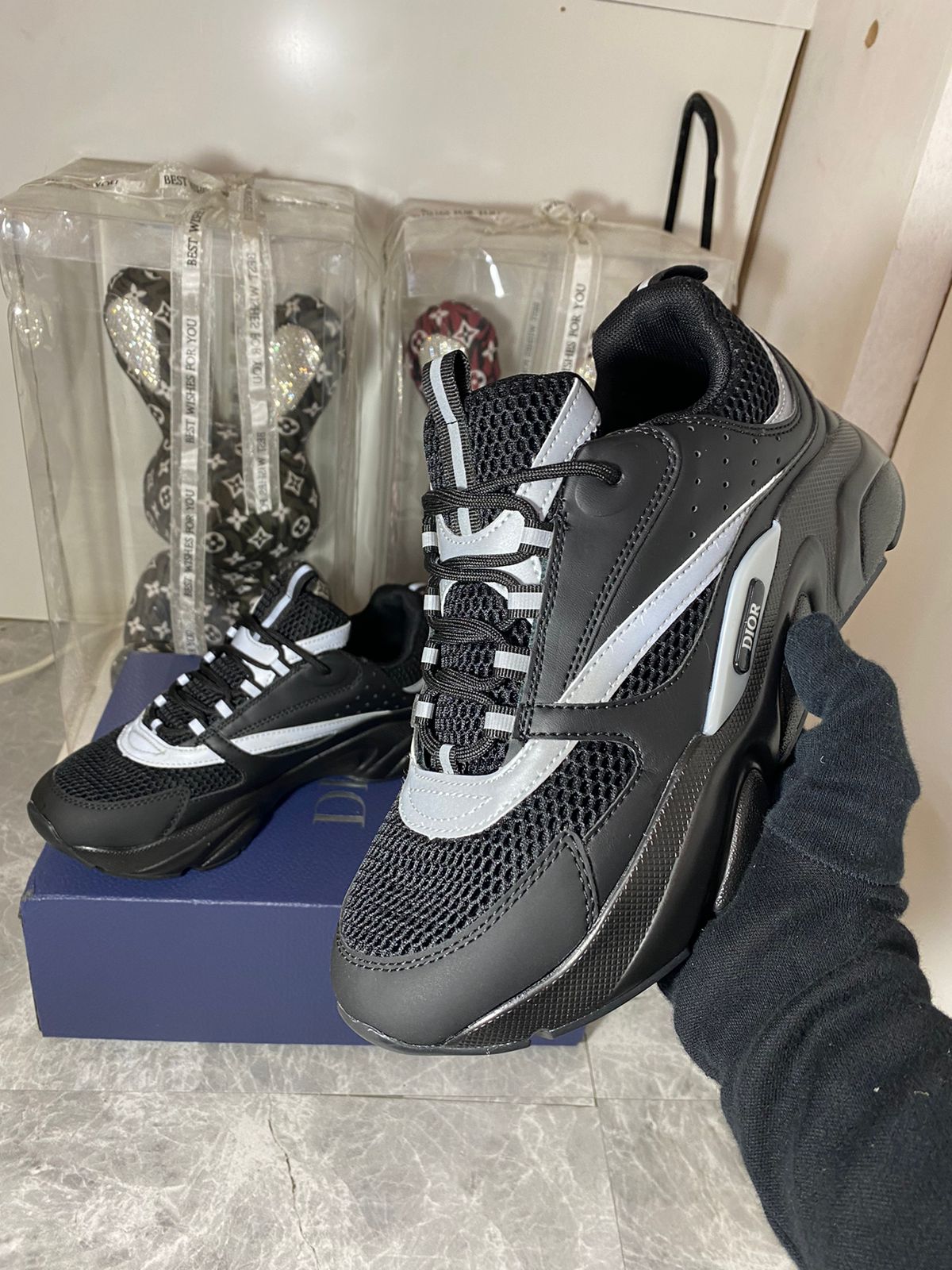 DIOR B22Trainers