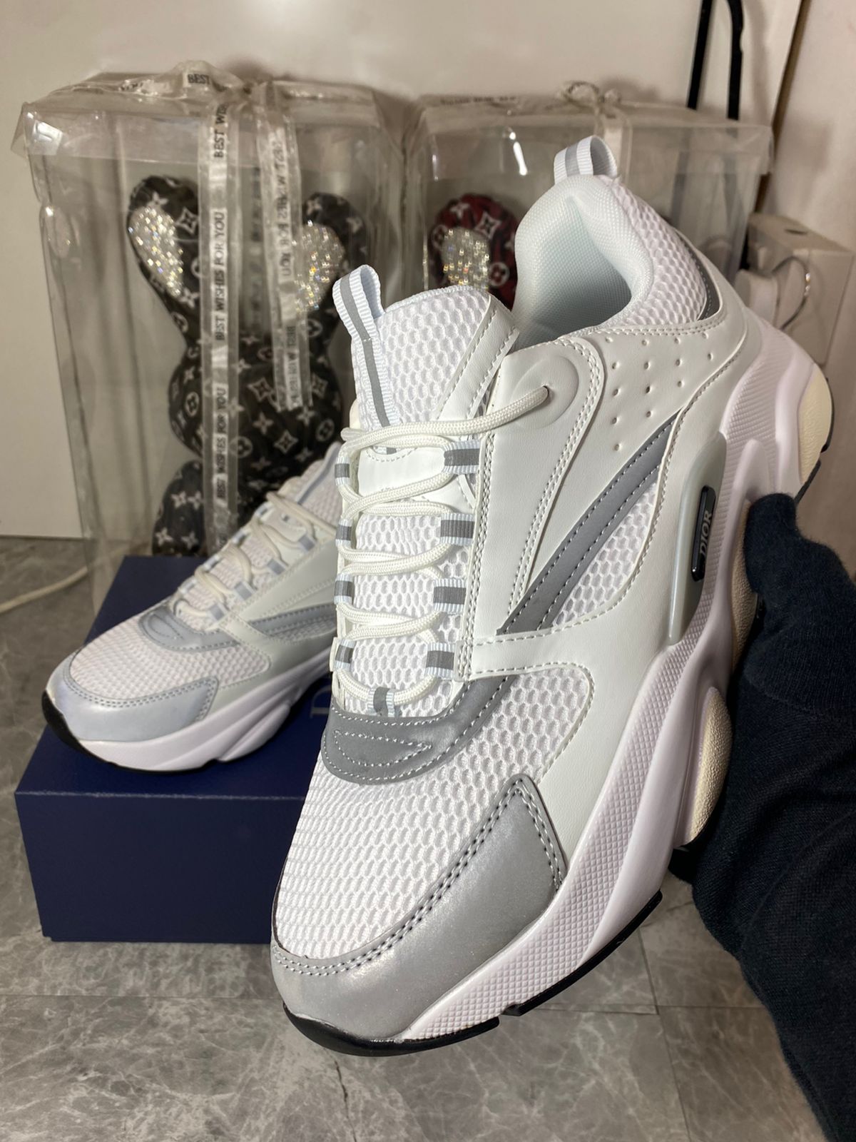 DIOR B22 Trainers