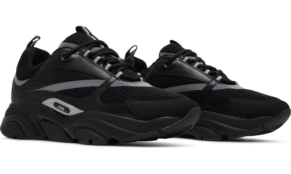 DIOR B22Trainers