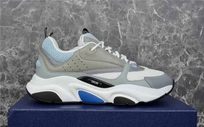 DIOR B22 Trainers