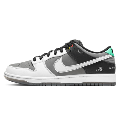 Nike Dunk Low SB 'Camcorder'